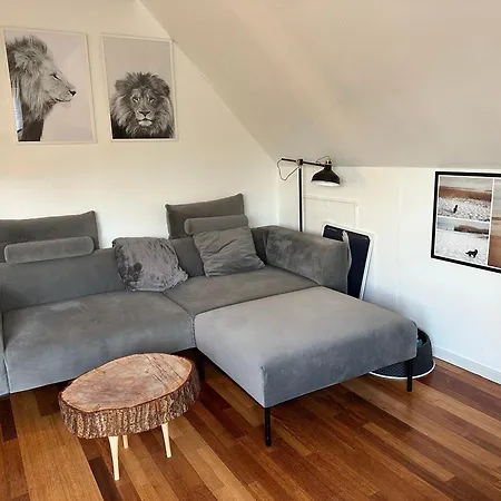 Apartament Med Tagterrasse, Have Og Pool.