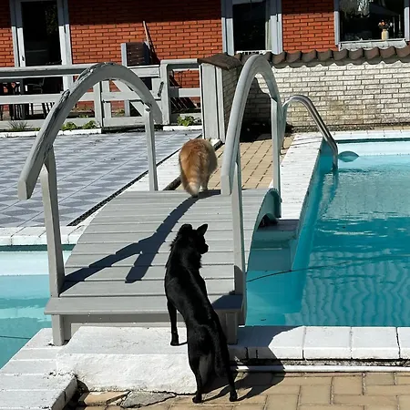 Med Tagterrasse, Have Og Pool. *